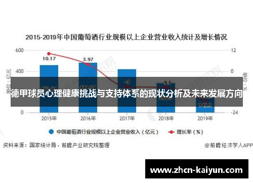 德甲球员心理健康挑战与支持体系的现状分析及未来发展方向