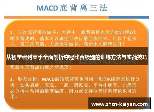 从初学者到高手全面剖析夺冠比赛级别的训练方法与实战技巧